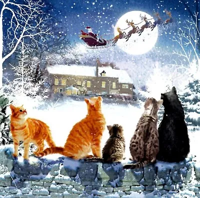 £4.95 • Buy RSPCA Charity Christmas Cards 4 Different Designs Pack Of 10