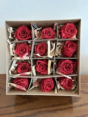 Box Of 12 Preserved 2” Red Rose Heads Buds One Dozen Beautiful Flowers • $28.99