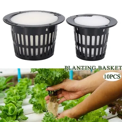 10Pcs Mesh Pot Net Cup Hydroponic System Garden Plant Grow Vegetable Net Cup • £3.98