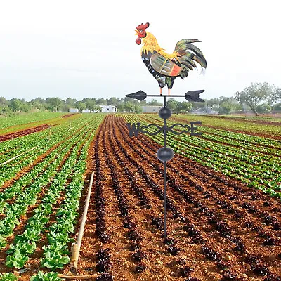 Weather Vane Cockerel Wind Vane Weathervane Retro Cast Iron Multi-color Rooster] • £26