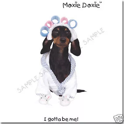 Lot Of 6 Moxie-doxie Very Unique Dachshund Six Greeting Cards Set 1 • $9.99