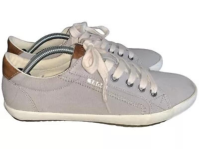 TAOS Star Burst Women's Gray Canvas Leather Trim Sneakers Size 8 STB-13834 Shoes • $26.95
