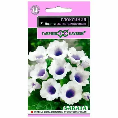 £3.41 • Buy Gloxinia Avanti F1 Light Purple Seeds 5 Seeds Ukraine 