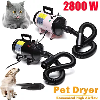 £85.47 • Buy Dayplus Dog Cat Pet Dryer Hair Grooming Blower Hairdryer Blaster 2800W Animal UK
