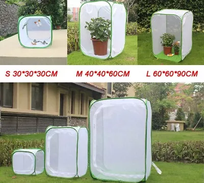 Foldable Insect Cage Butterfly Habitat Mesh Mantis Housing Enclosure Pop-Up Net • $14.90