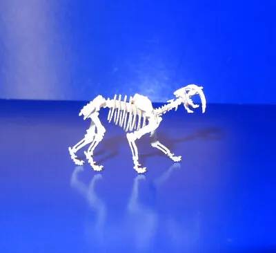 TINY Dollhouse Sabre Tooth Tiger Dinosaur Skeleton Laser Cut Model Miniature • $44.95