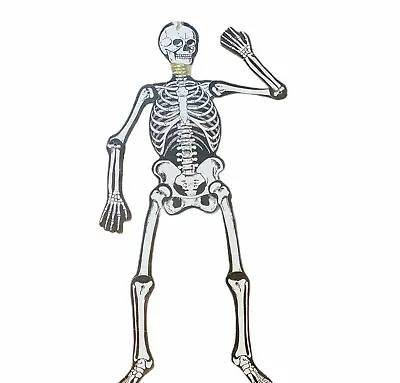 £41.33 • Buy Halloween Decoration Vtg 1950s To 1960s Luhrs Skeleton Jointed Hanging Bones Mcm