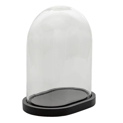 £39.99 • Buy Glass Display Cloche Bell Jar Dome OVAL Flower Preservation Vase Black Base 32cm