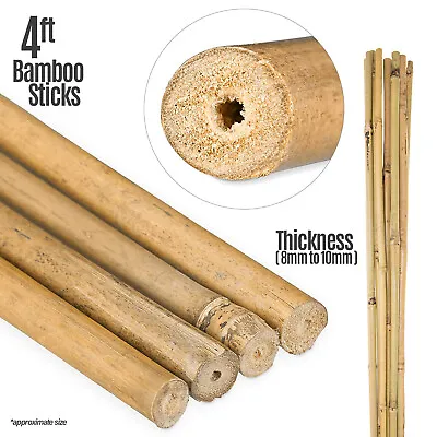 Heavy Duty Garden Canes 120cm Strong Thick Bamboo Stick Flower Plant Support 4FT • £14.44