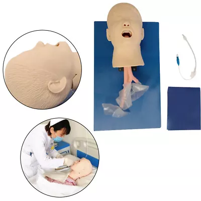$195 • Buy Airway Management Trainer Intubation Head Manikin Training Teaching Simulator