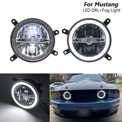 Halo DRL LED Fog Light Grille Daytime Running Lamp For 2005-2009 Ford Mustang GT • $129.59