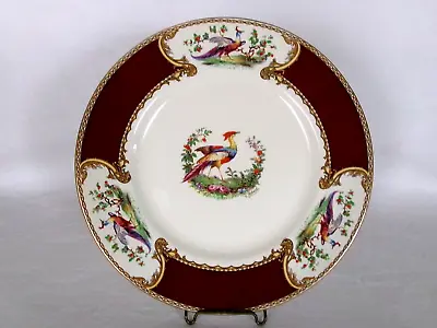 Vintage MYOTT STAFFORDSHIRE CHELSEA BIRD RED 10 5/8  DINNER PLATE - England • $39.99