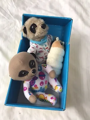 Compare The Market Meerkat Baby Oleg With Grub In Bed Box. With Extra Toy • £2