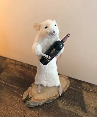 Taxidermy Drunk Wine Bottle  Mouse Gift Strange Oddities Curiosity • £35