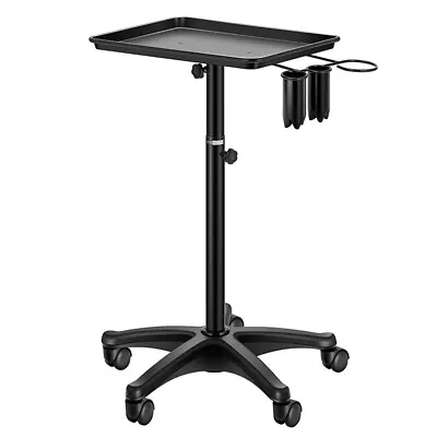 Rolling Salon Cart W/ Instrument Tattoo Tray Tools Holder For Spa Barber Clinic • $44.99