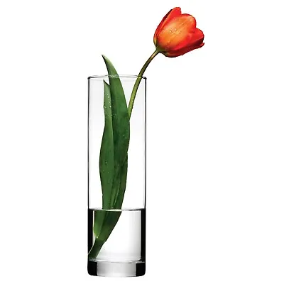 £6.99 • Buy Pasabahce Botanica Glass Straight Wide Curved Bent Shape Flower Wedding Vase