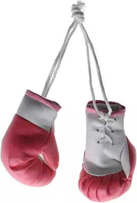 Mini Boxing Gloves Miniature Boxing Accessories Hanging Boxing Bag Gloves Decora • $22.99