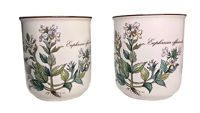 2 Pc Villeroy Boch Botanica Vitro Porcelain Cup W/o Handle~Euphrasia Officinalis • $33.99