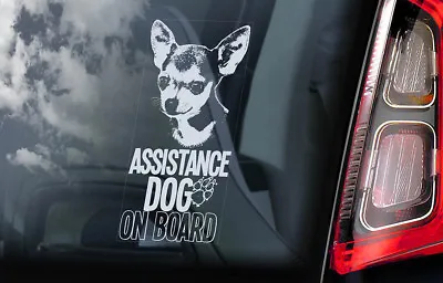 £3.50 • Buy ASSISTANCE DOG Car Sticker, Chihuahua Dog Window Bumper Sign Decal Gift Pet -V07