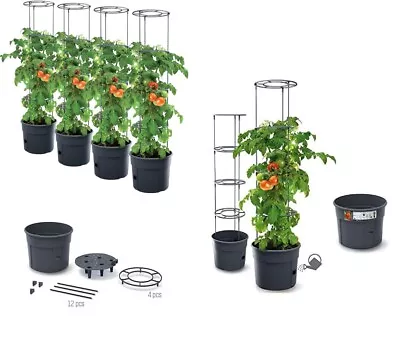 Tomato Grower Pot Planter Growing Set Support Home Garden Indoor Outdoor UK 28L • £19.65