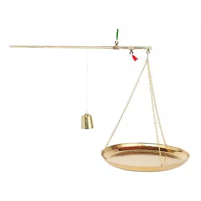 Chinese Medicine Scale Brass Weight Scale Small Handheld 250G Kitchen Scale • $9.09