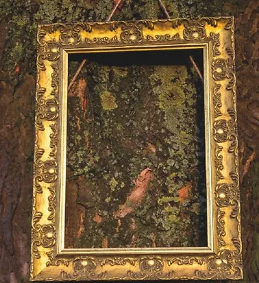 £20.21 • Buy WIDE Ornate Shabby Chic Antique Swept Picture Frame Photo Frame  Gold  /MUSE 