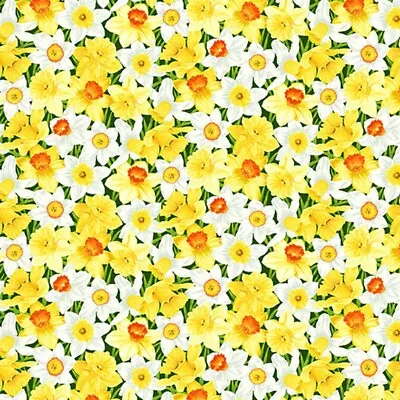 Half Metre Spring Daffodils Cotton Quilting Fabric By Makower • £6.99
