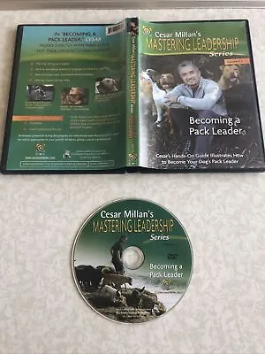 Cesar Millan’s Mastering Leadership Becoming A Pack Leader Dvd CC17 • £3.07