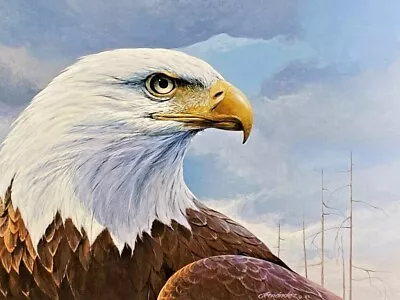 Mario Fernandez  Through The Eyes Of An Eagle  LE Hand-Signed Print #411/580 • $37.50