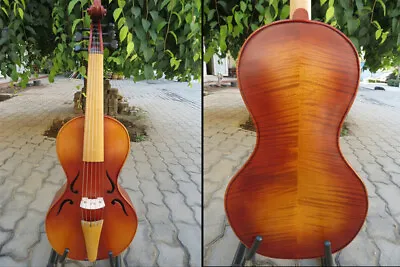 Baroque Style SONG Brand  Maestro 6 Strings 16  Viola Da Gamba #14256 • $539.10