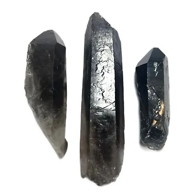 $15.99 • Buy Smoky Quartz Points (Lot Of 3) | Large Pieces | Black Crystal Points | Natural