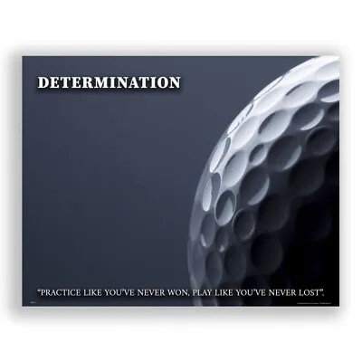 Golfing Motivational Poster Art Print Golf Balls Course Wall Decor Opportunity • $9.95