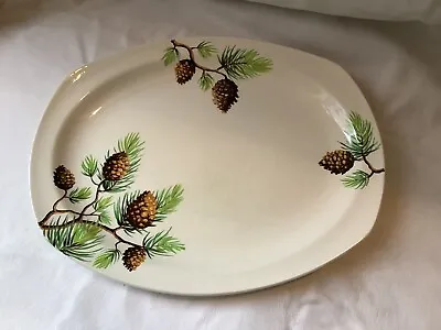 Vintage Midwinter Stylecraft ( FIR ) Quite Rare  Large Serving Plate. 12” • £12