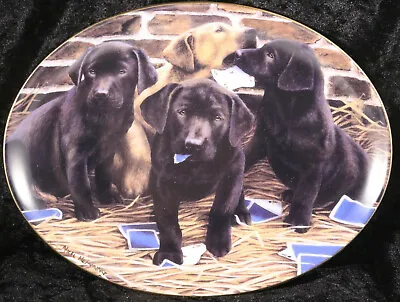 £5 • Buy Franklin Mint Four Aces Nigel Hemming Plate Labrador Retriever Trio Dog 