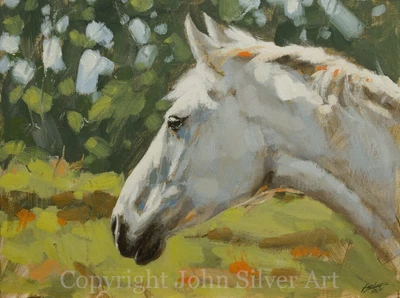 £49 • Buy HORSE PORTRAIT FINE ART ORIGINAL PAINTING 16 X 12 Inch By UK Artist JOHN SILVER