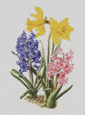Cross Stitch Pattern Daffodils Hyacinths Plant Flower Bloom Garden Border • £4.50