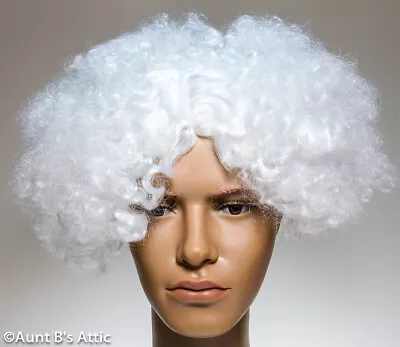 Mad Scientist Wig White Center Part Wedge Cut Curly Synthetic Costume Wig • $19.98