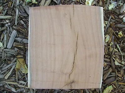 Mesquite Half Log  (9-1/2  X 8-1/2  X 5-1/2 ) #40 • $27.95