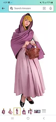 Sleeping Beauty Cosplay Costume Princess Aurora Briar Rose Plus Size Dress 2x/3x • $20
