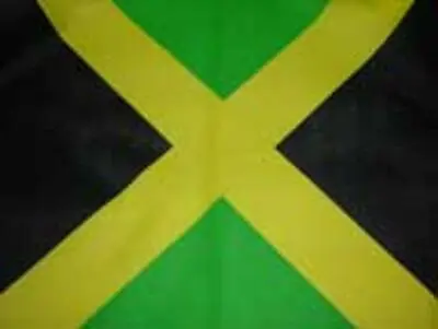 You Get 2 Jamaica Jamaican Bandana Flag Pride Scarf Durag Hair Face Mask Gift • $9.99
