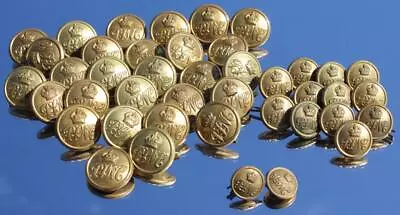 Pacific Steam Navigation Line Original Crew Or Officers 42 X Gilt Brass Buttons • £50