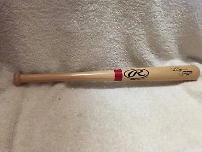 Rawlings Mark McGwire Mini Baseball Bat  • $9.99