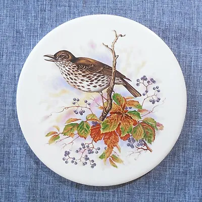 H & R Johnson Round Tile Trivet From ENGLAND Brown Songbird Autumn Fall Colors • $9.99