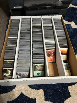 250 Basic Land Bulk Lot (50 Each Color) MTG Magic The Gathering Cards 1994-2022 • $29.95