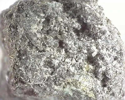 05680 Polydymite Millerite Germany Rare Micromount MM • $25