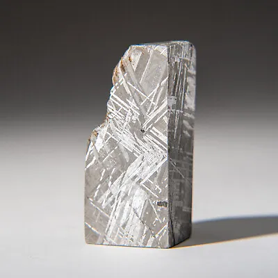 Genuine Muonionalusta Meteorite Slice (142.9 Grams) • $1100