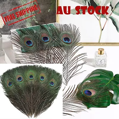 5-10x Natural Peacock Tail Eyes Feathers 25-30cm DIY Craft Vase Decor Vase AU • $8.45