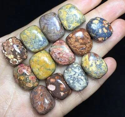 90g  Natural Ocean Jasper Agate Teardrop Jasper Reiki Ball Healing Gravel K344 • $3.25