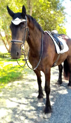 Sound Advice White Glitter Dressage Saddle Pad / Bonnet Set • $85