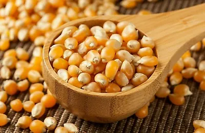 £2.10 • Buy Popcorn Seeds Popping Corn Nasiona Popcornu Best Quality